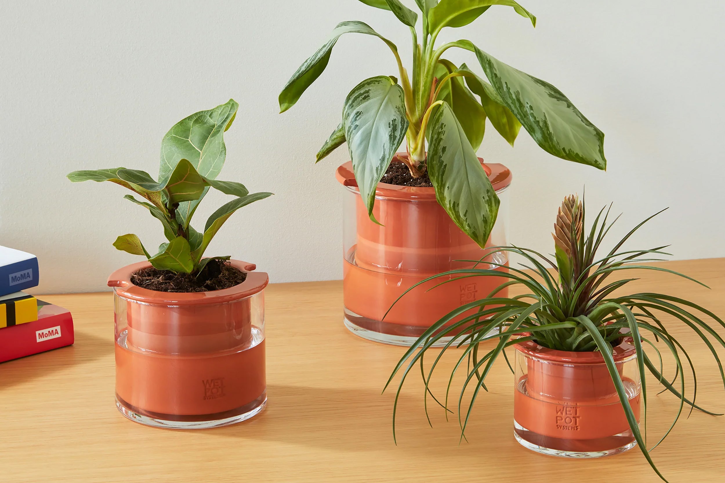 WetPot-Self Watering Pot