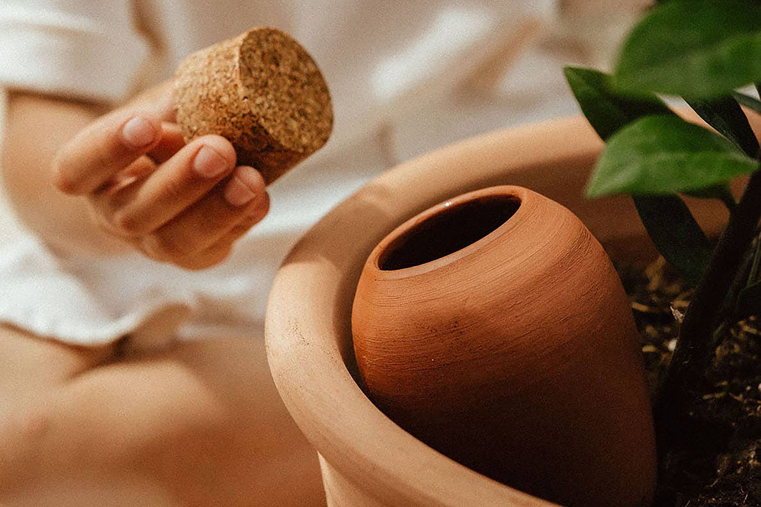 Pepin-Self Watering Olla