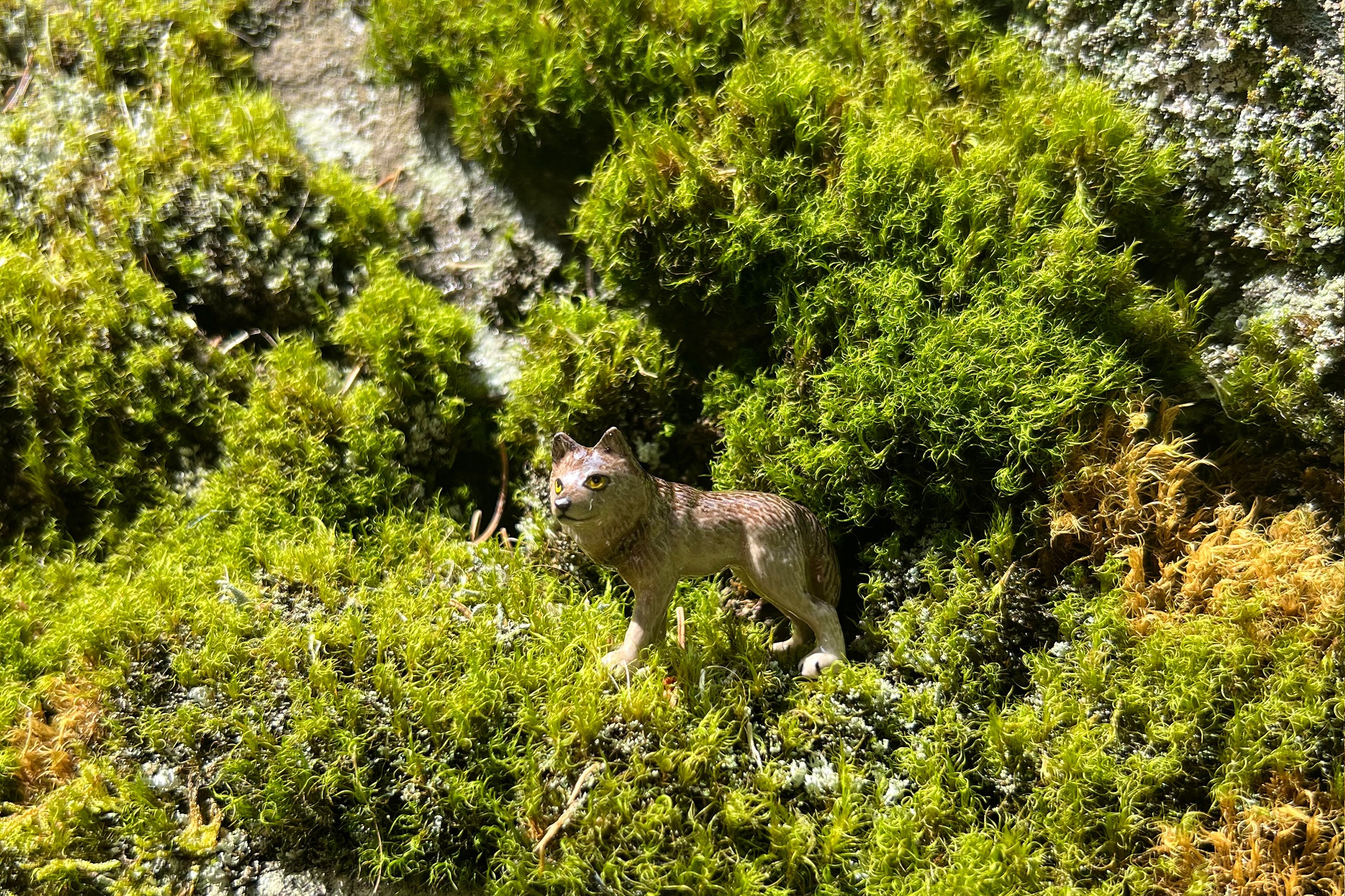 Little Critterz-Miniature Porcelain Figurine