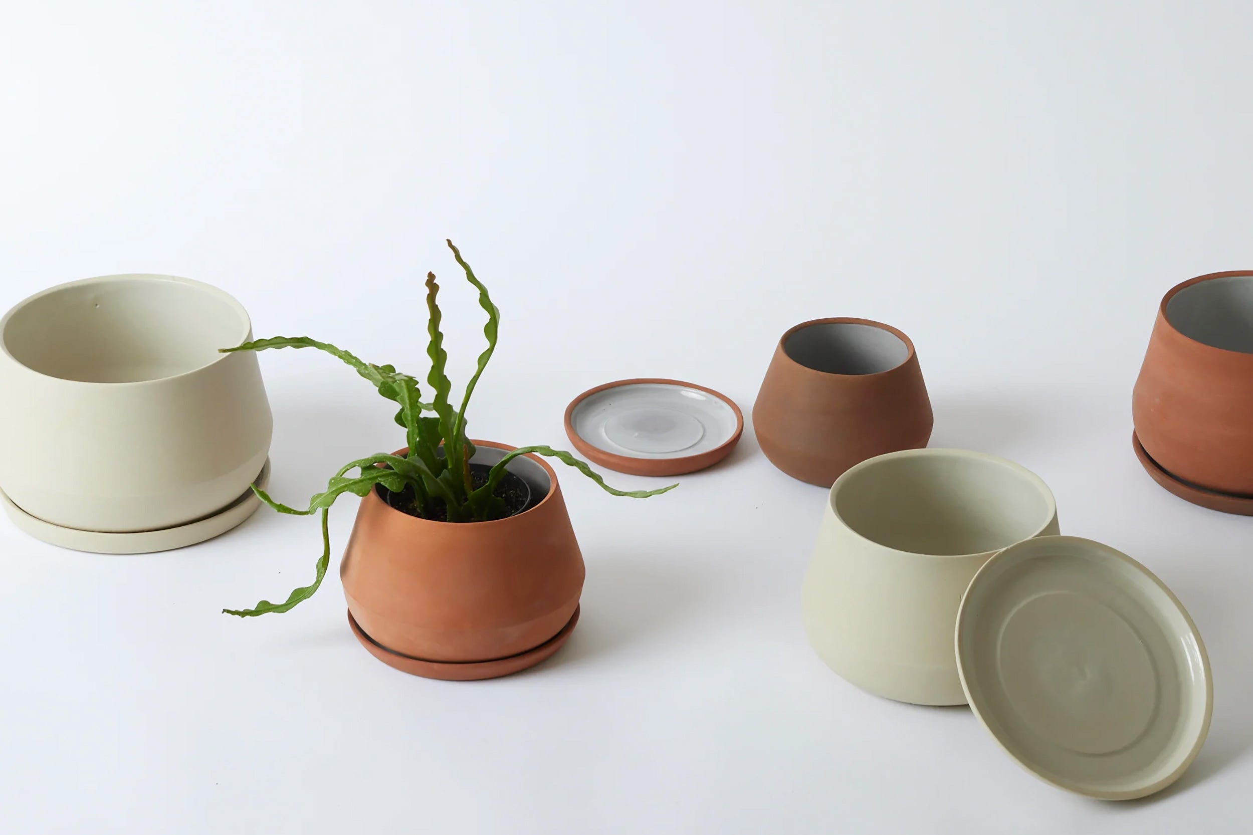 LBE-Rancho Planter // 5"-6"