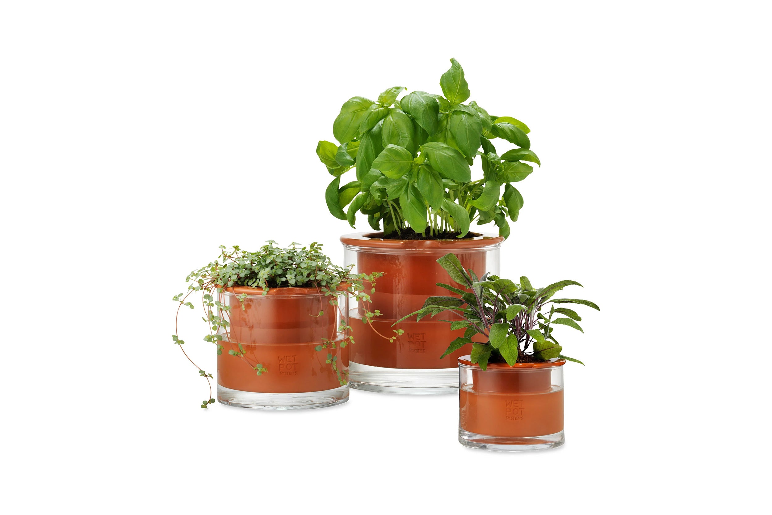 WetPot-Self Watering Pot