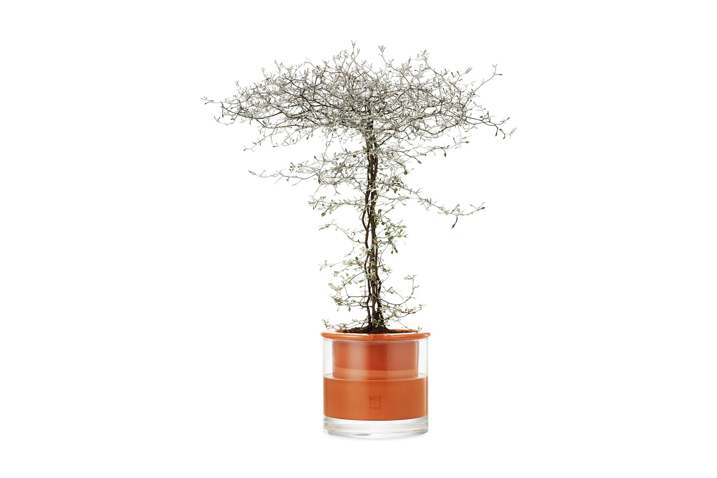 WetPot-Self Watering Pot