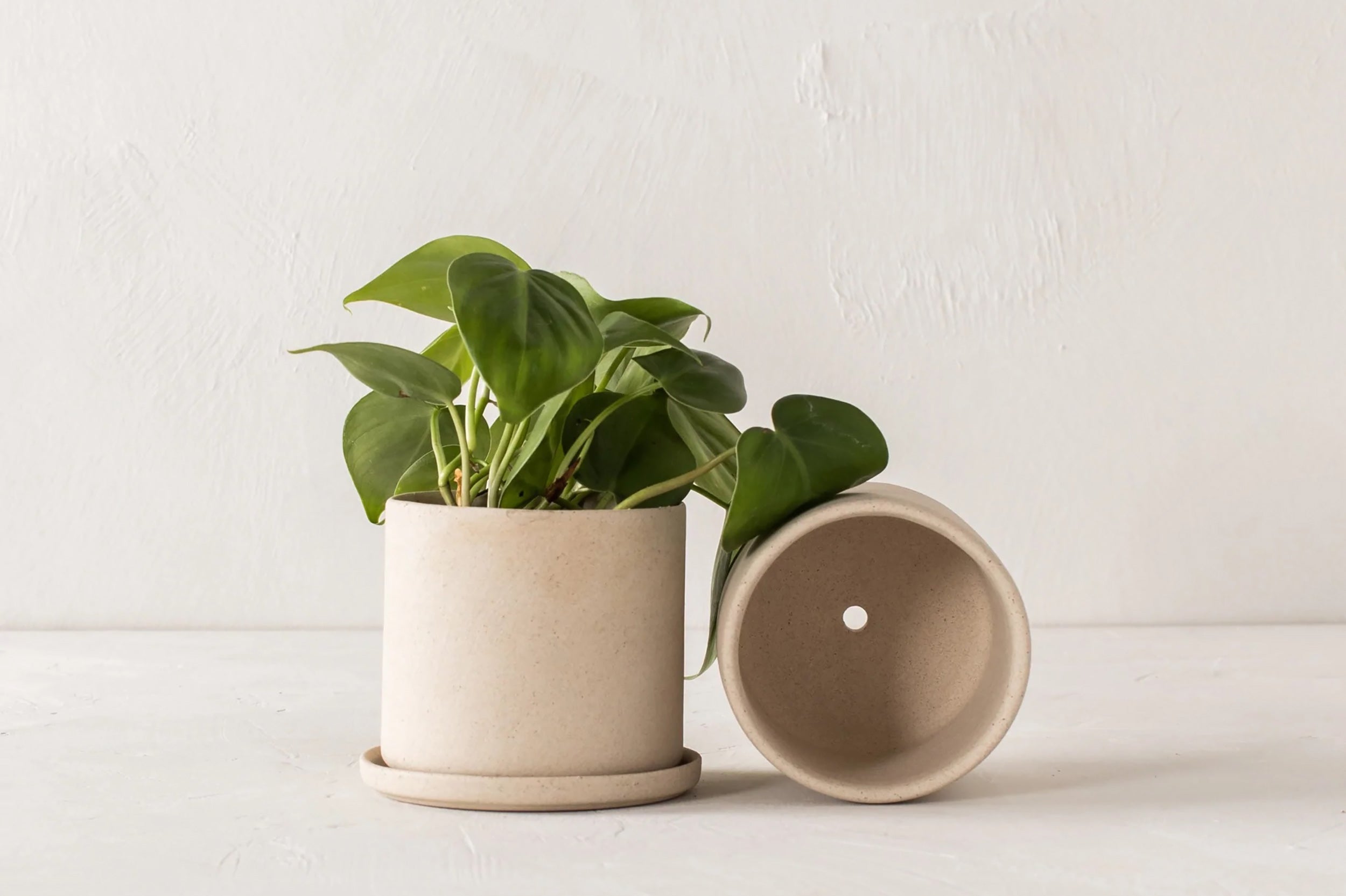 Convivial-Minimal Planter // Raw