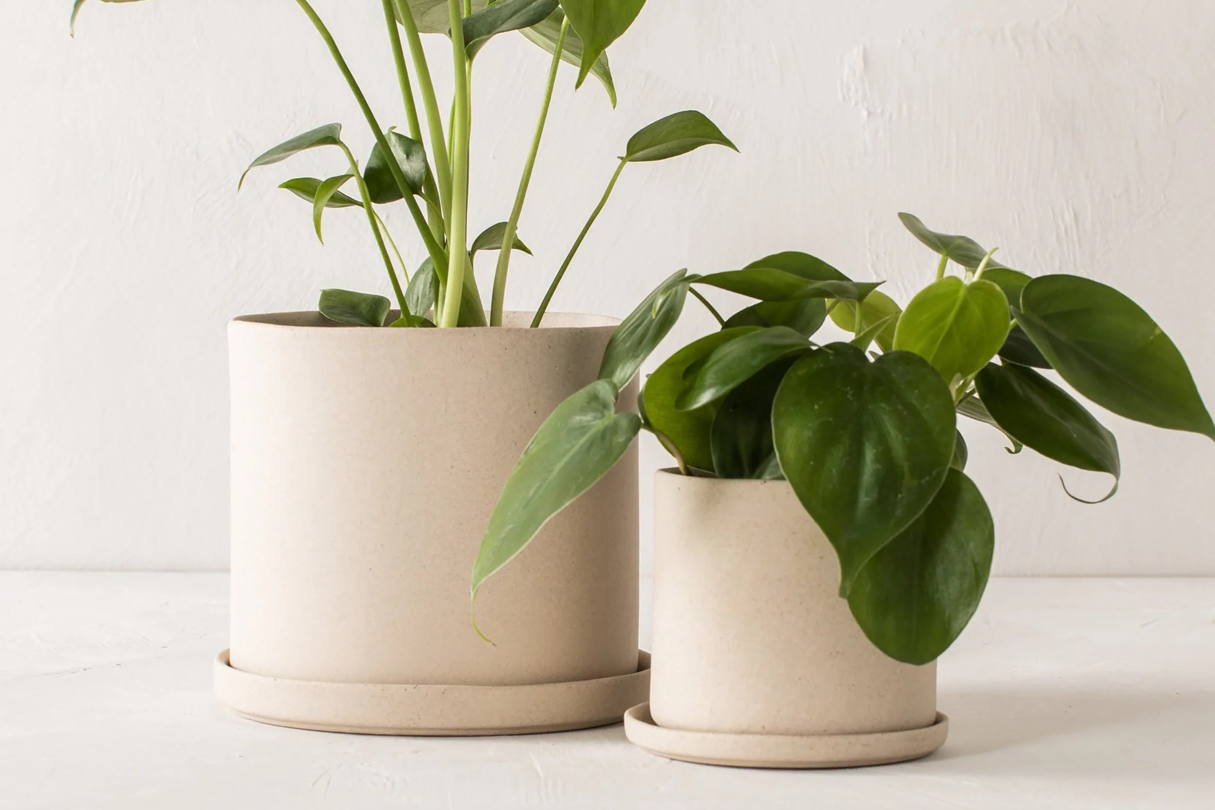 Convivial-Minimal Planter // Raw