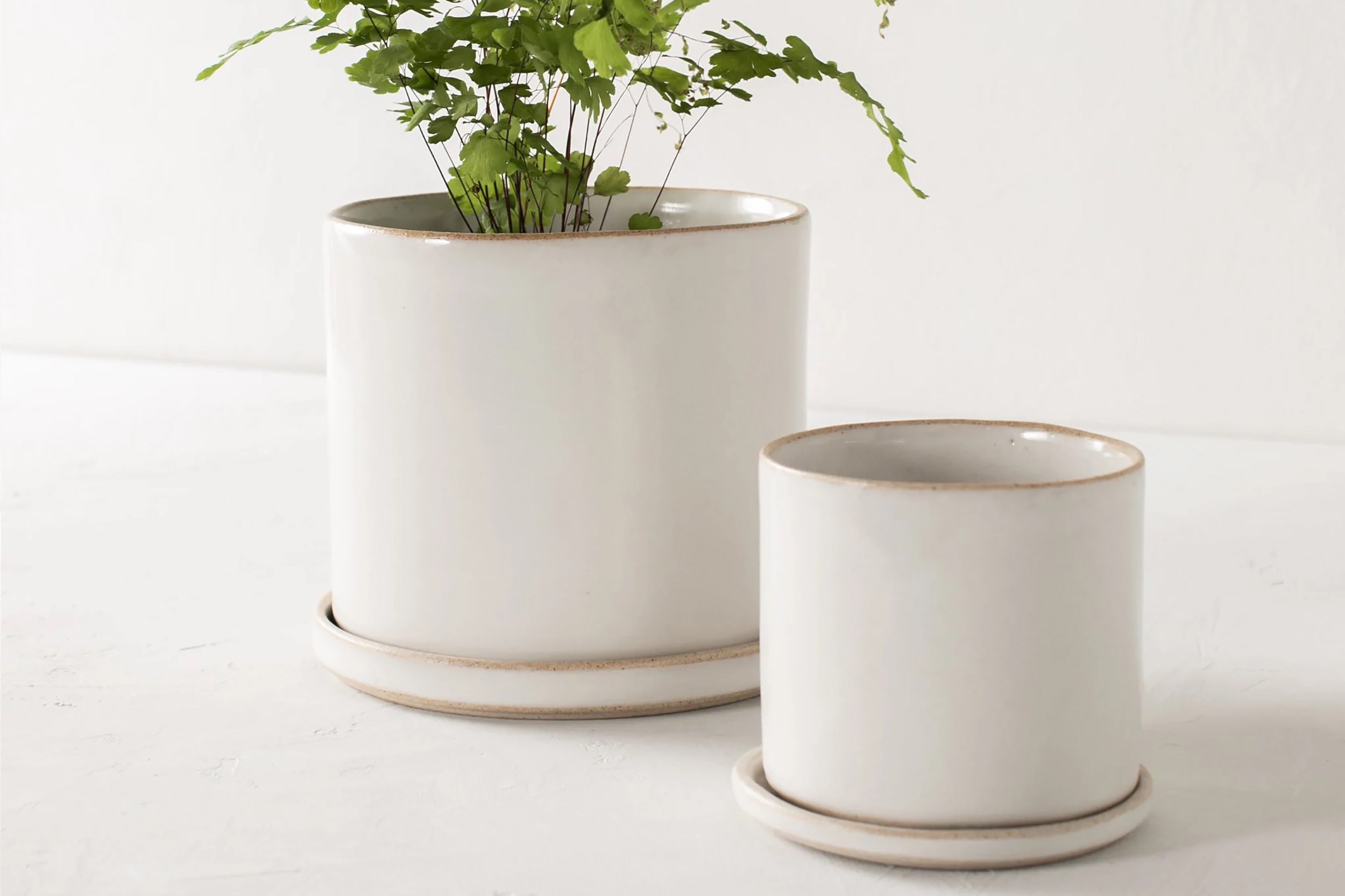 Convivial-Minimal Planter // Glazed
