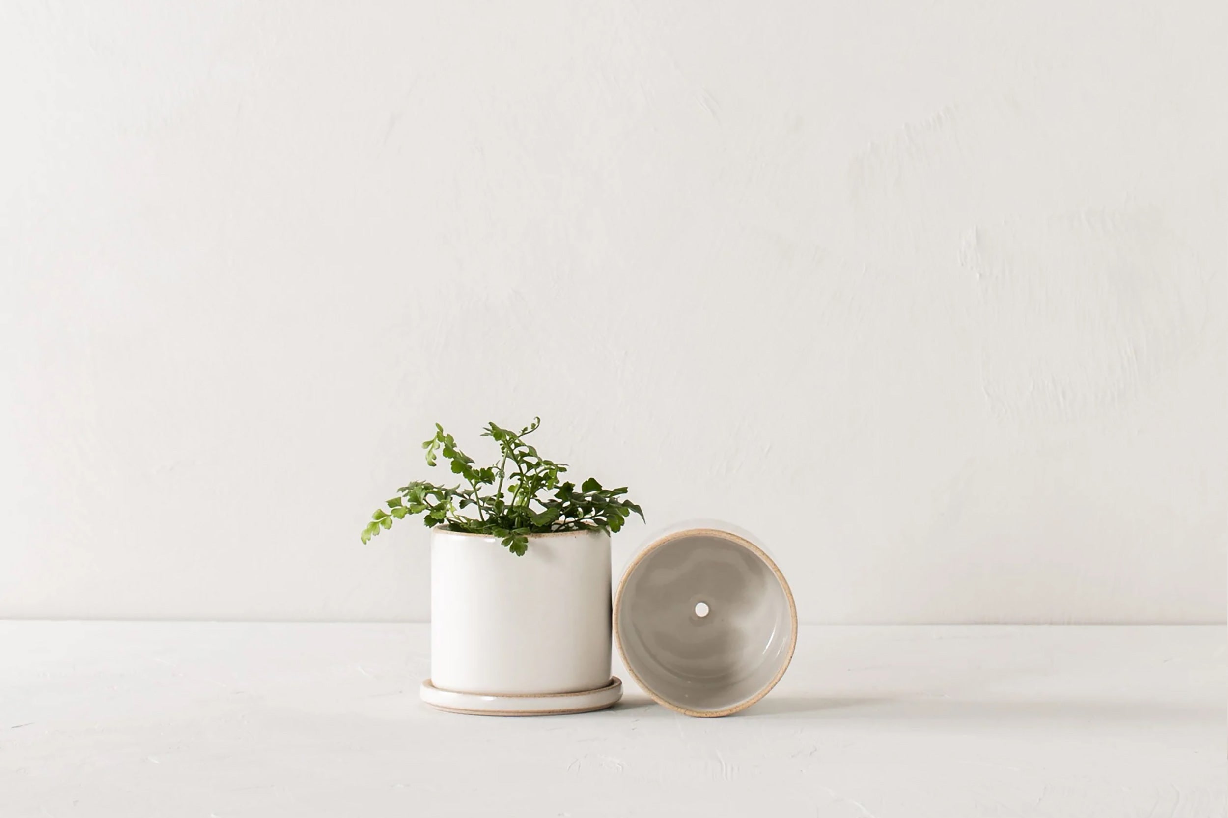 Convivial-Minimal Planter // Glazed