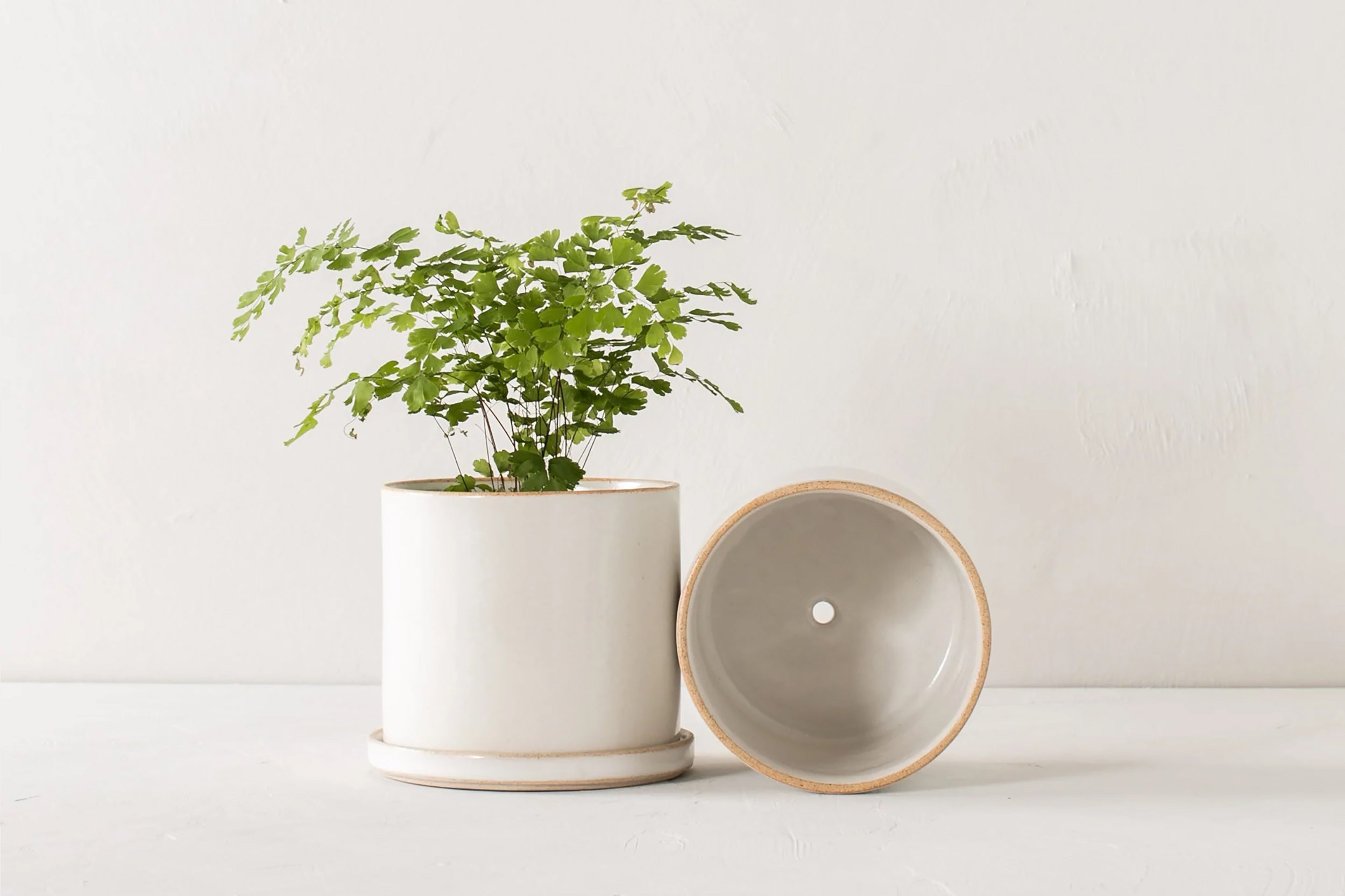 Convivial-Minimal Planter // Glazed