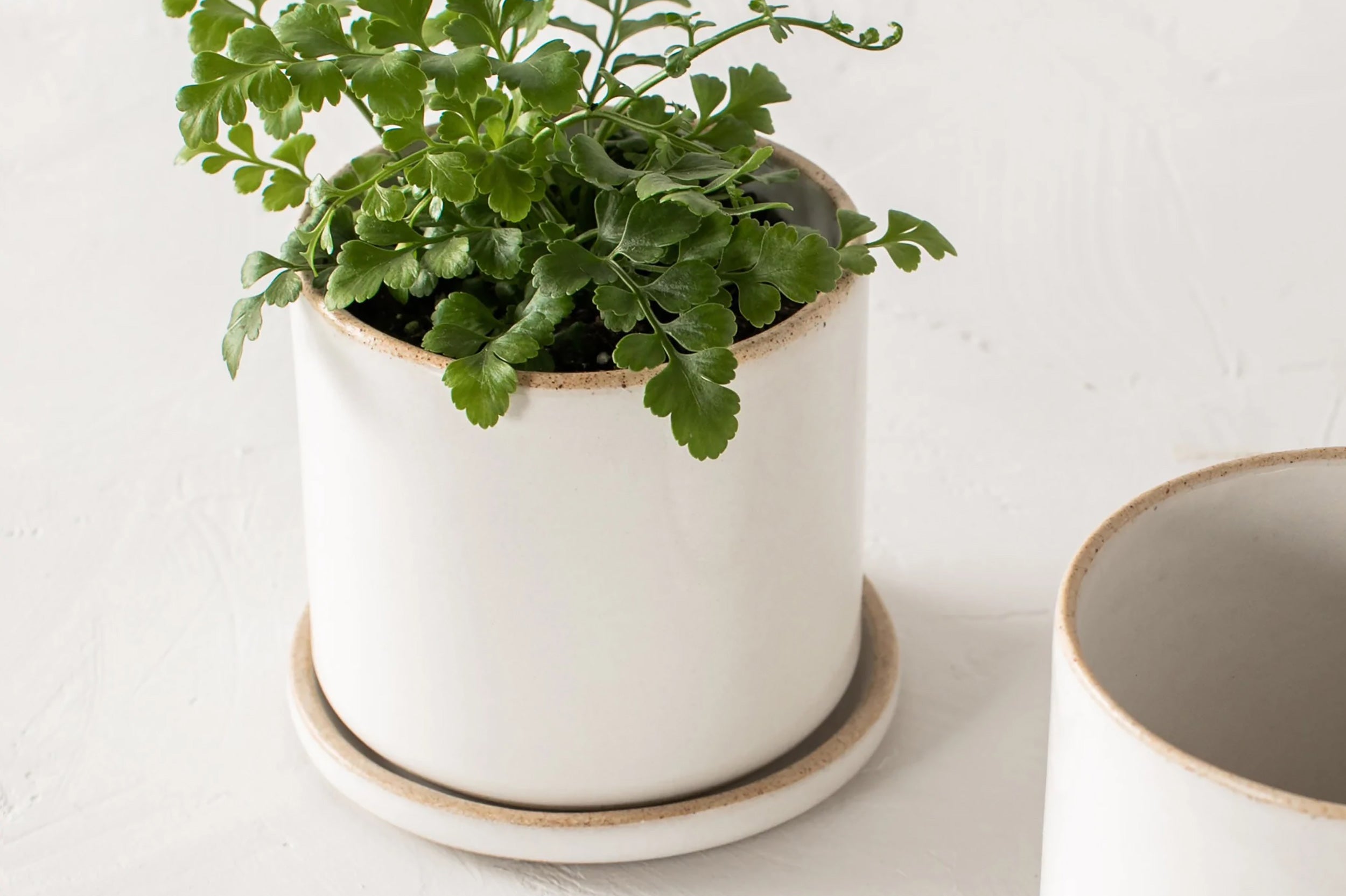 Convivial-Minimal Planter // Glazed