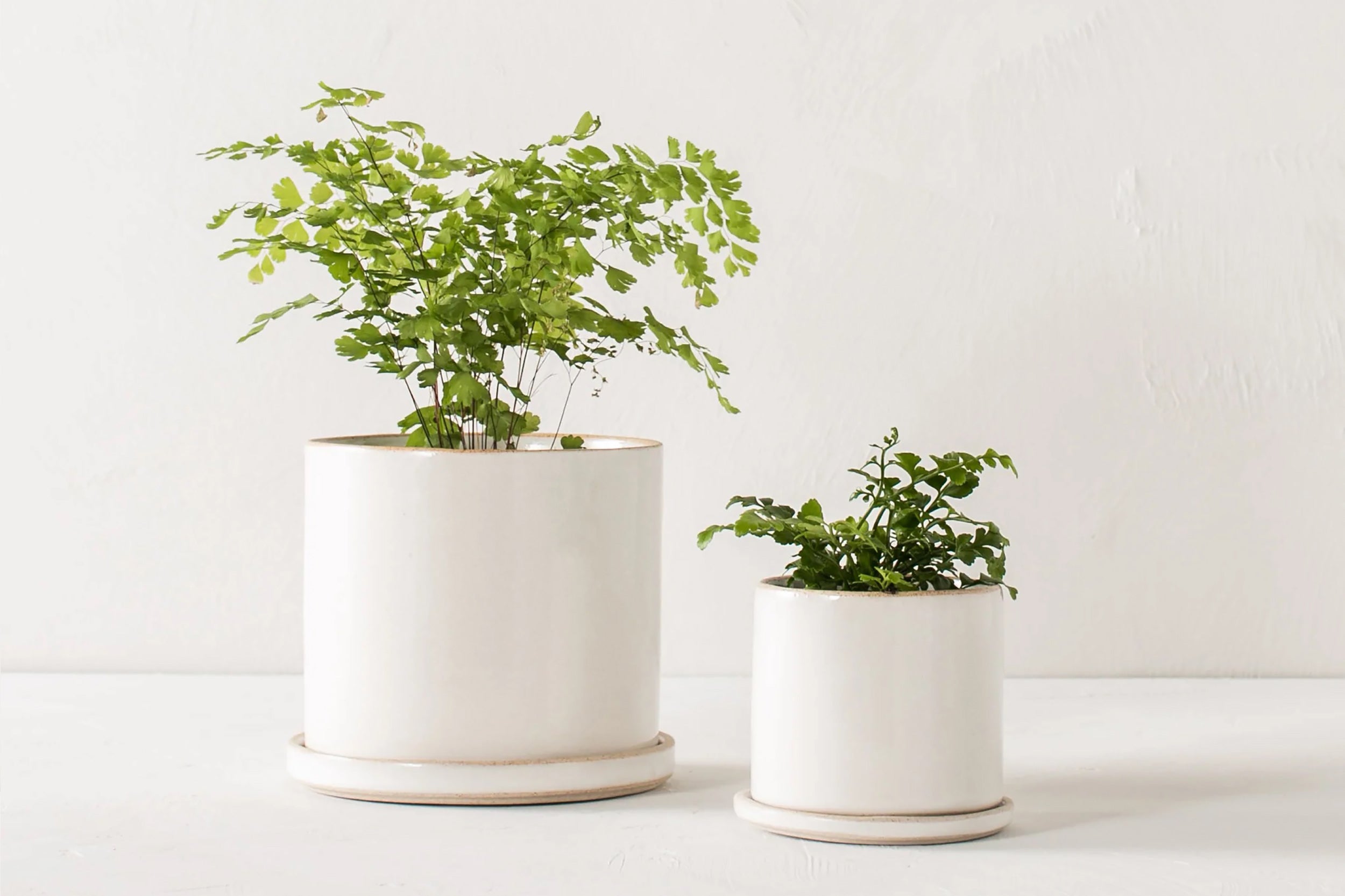 Convivial-Minimal Planter // Glazed