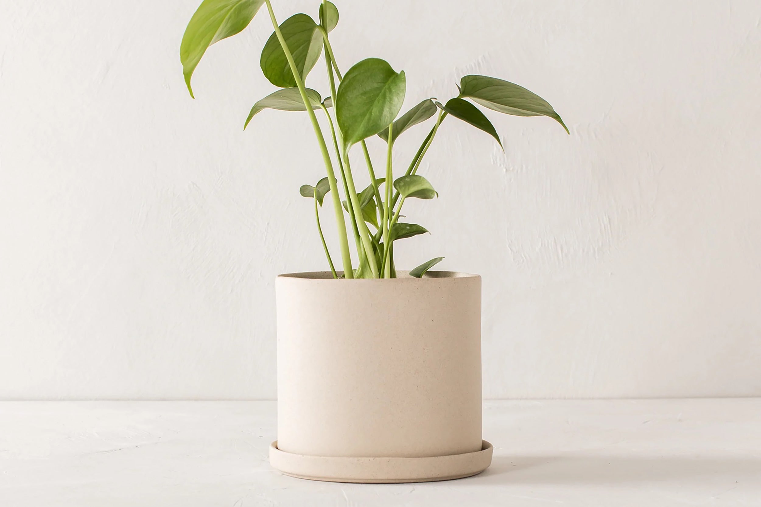 Convivial-Minimal Planter // Raw