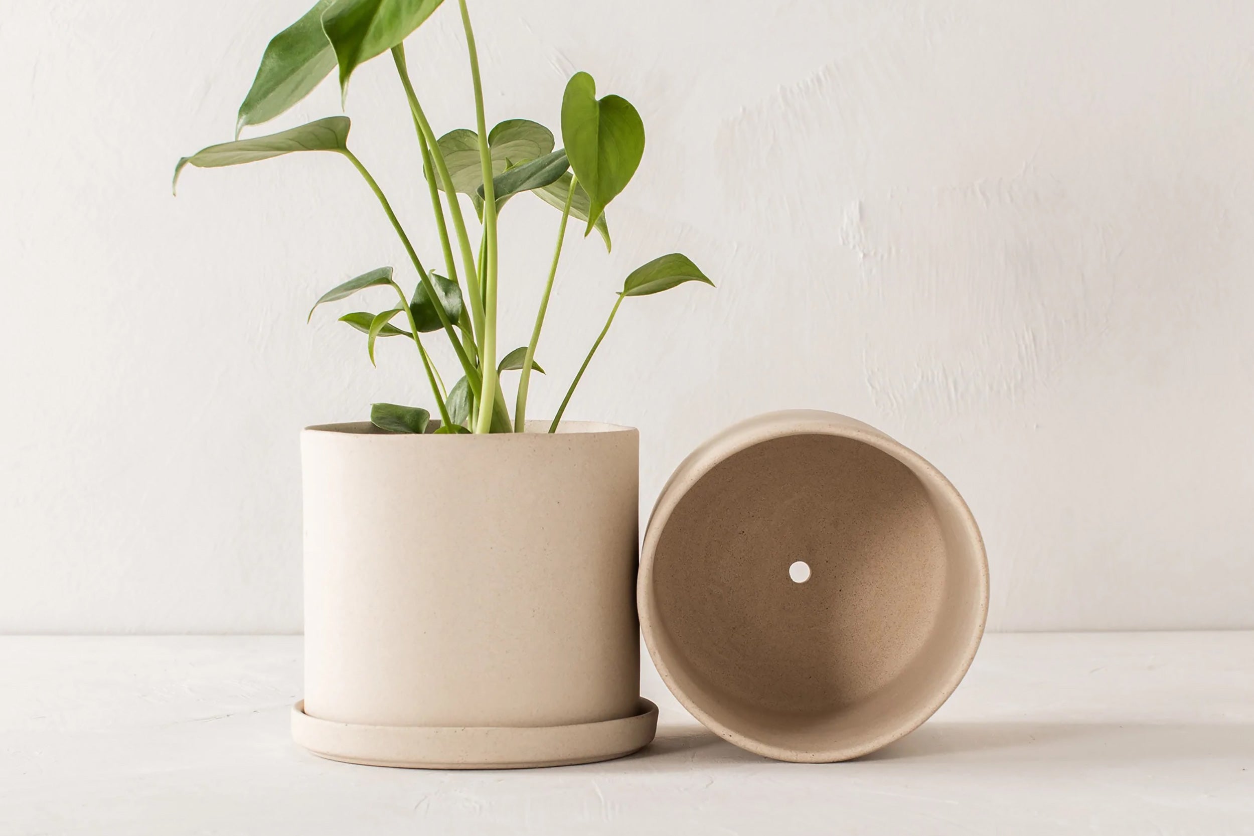 Convivial-Minimal Planter // Raw