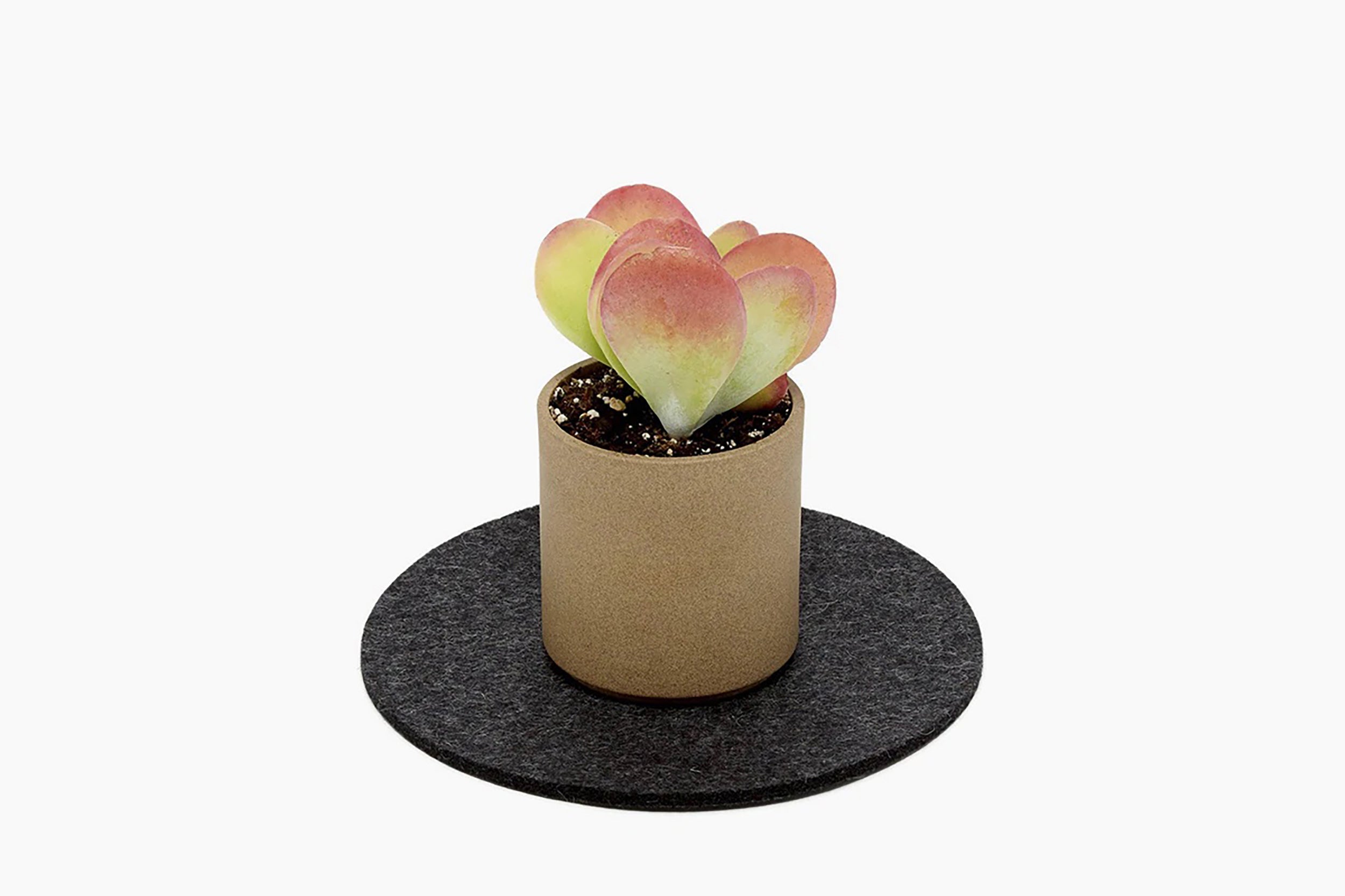 Graf Lantz-Felt Trivet