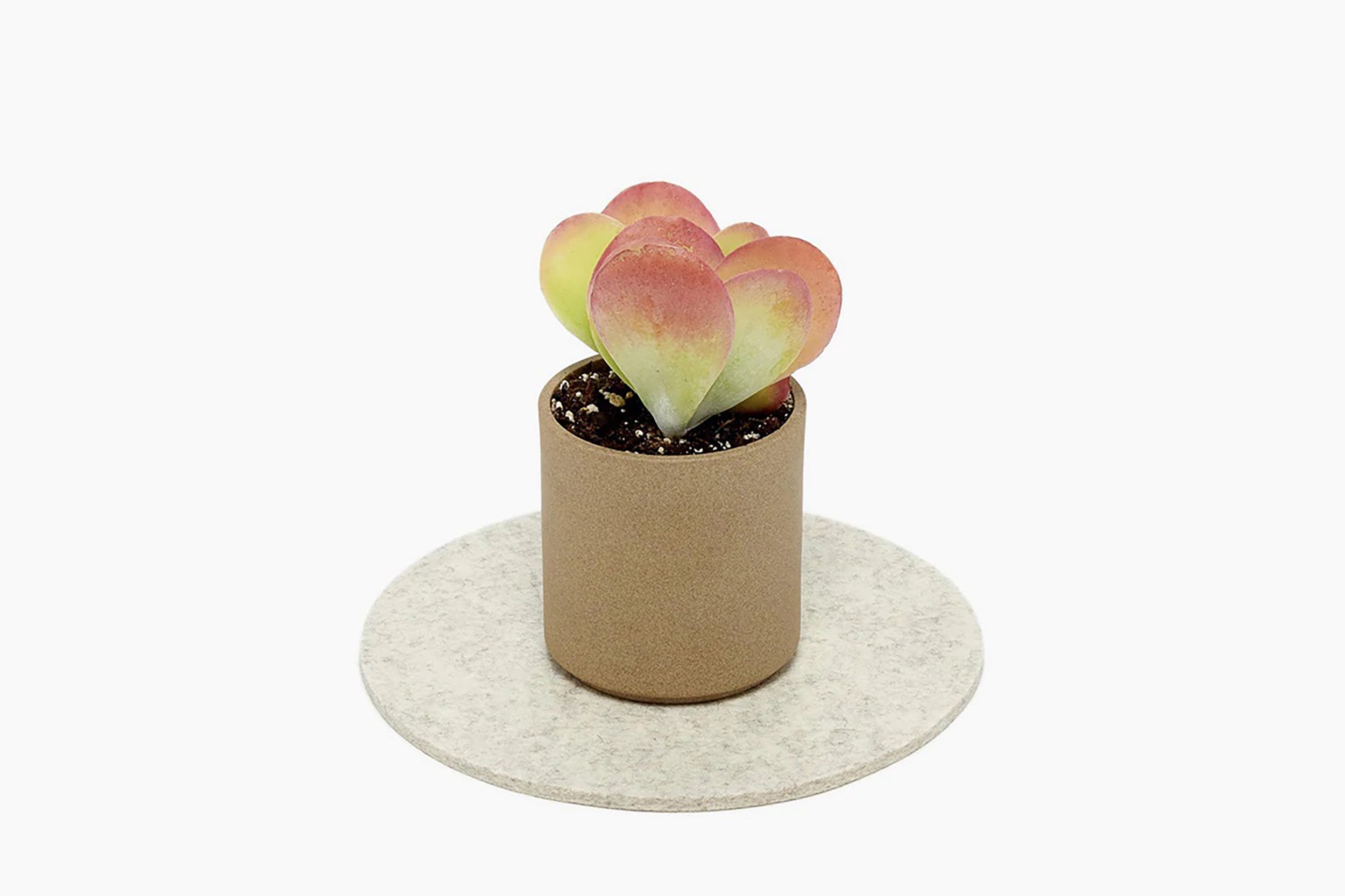 Graf Lantz-Felt Trivet