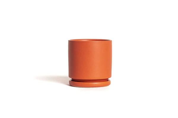 Momma Pots-Cylinder Pots // 6.5"