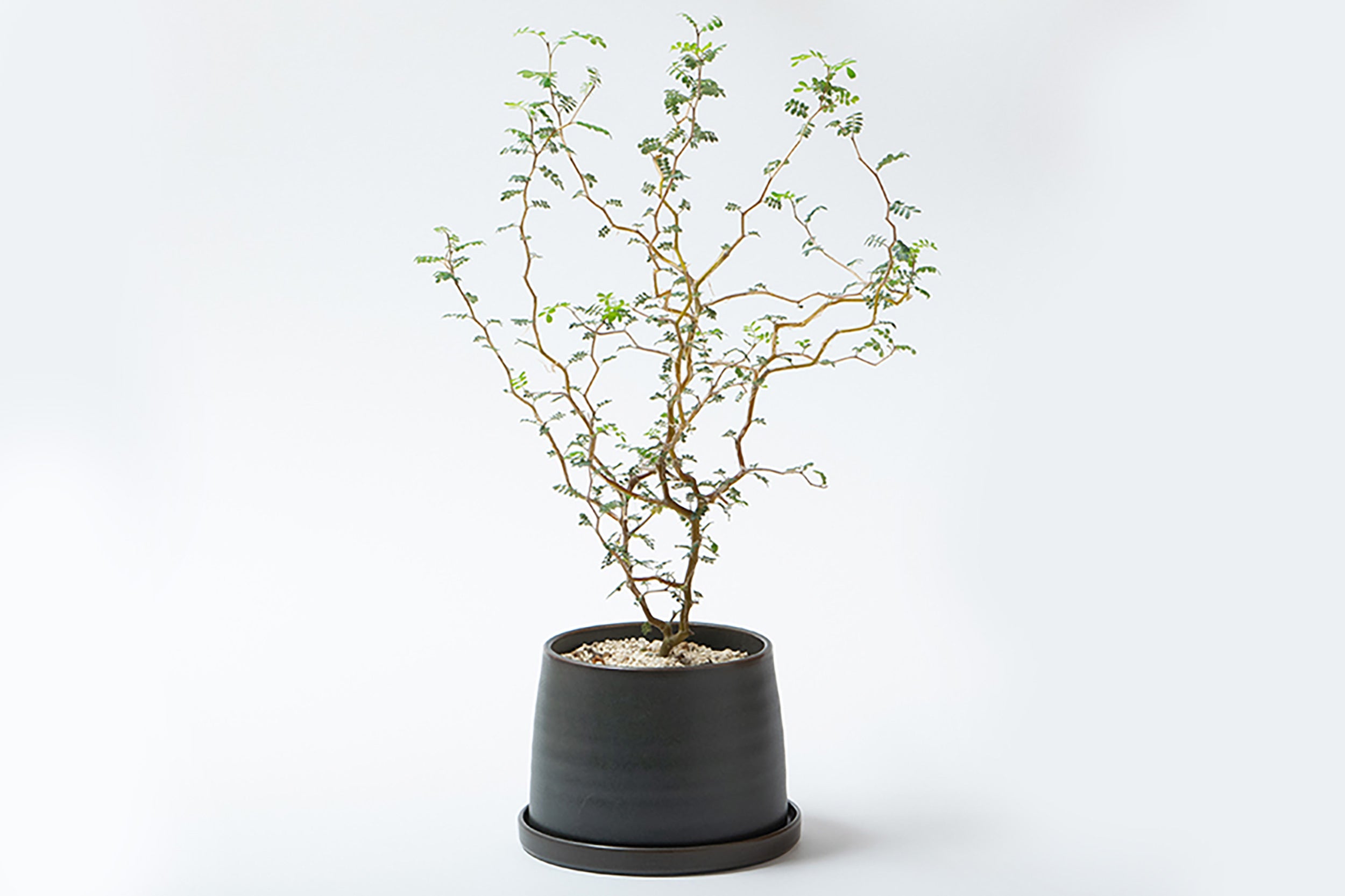 Kinto-Plant Pot 192