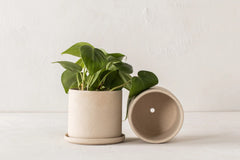 Convivial-Minimal Planter // Raw