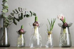 Kinto-Aqua Culture Vase Clear