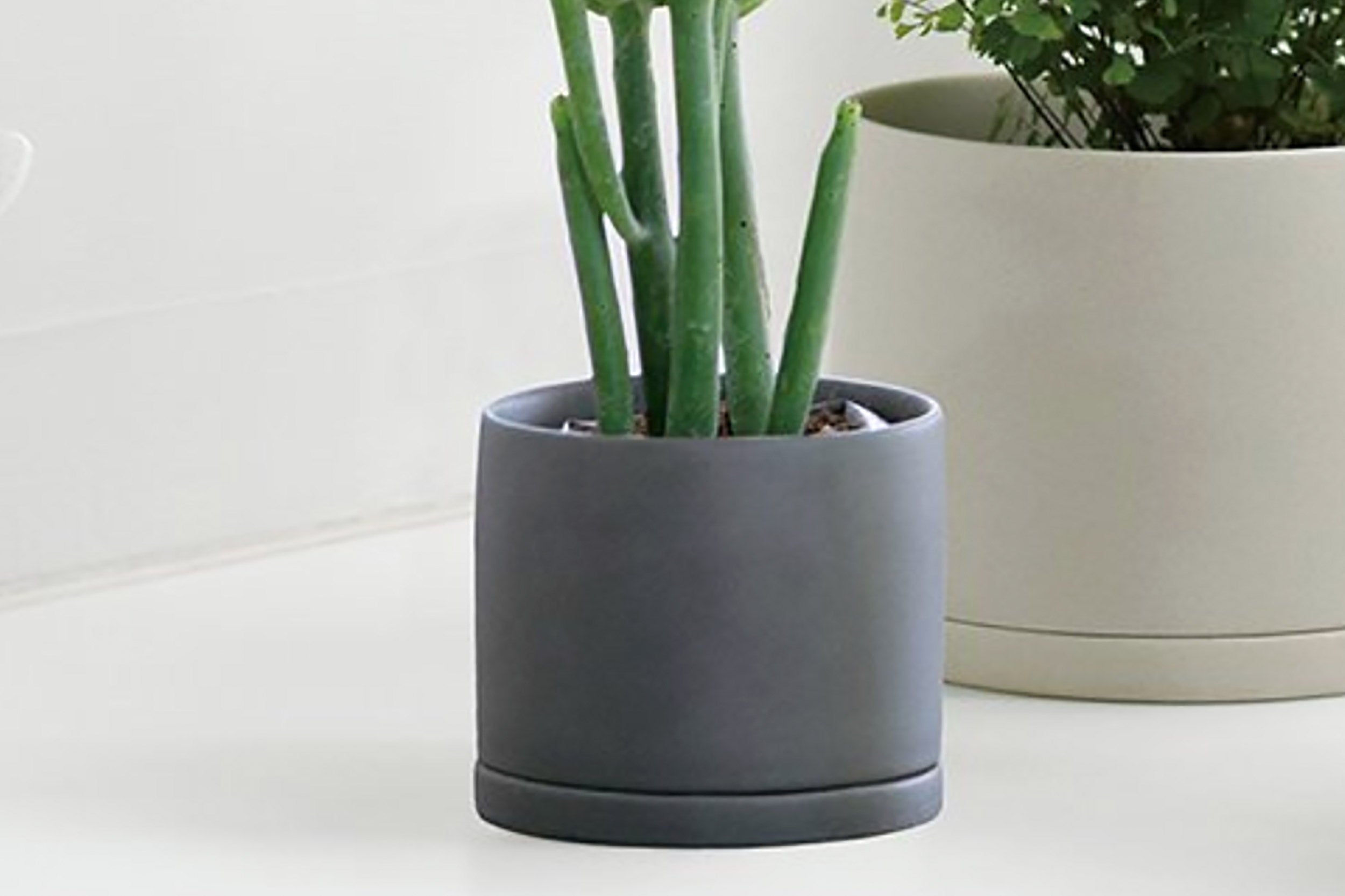 Kinto-Plant Pot 191-3"