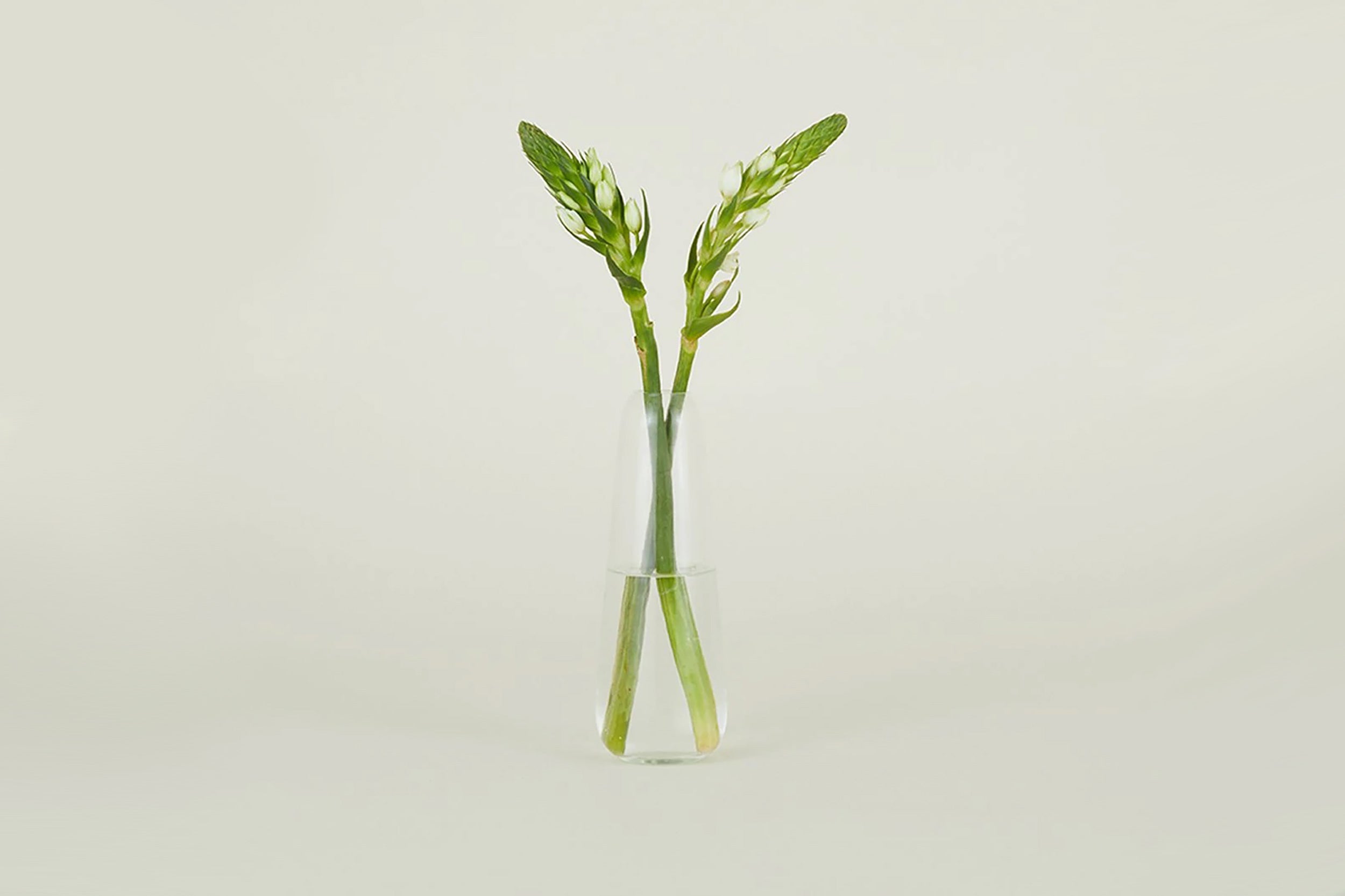 Hawkins NY-Aurora Vase // Slim Drop